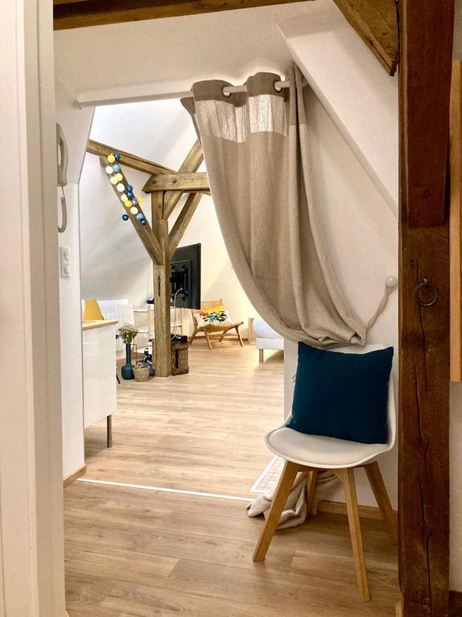 コルマールLe Loftアパートメント エクステリア 写真